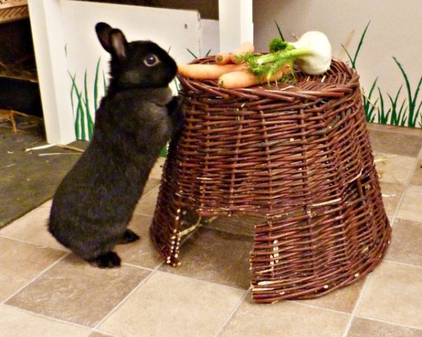 Beschäftigungsmöglichkeiten