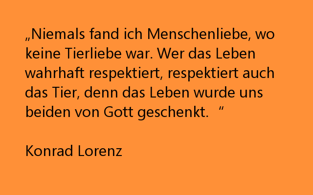 Zitate Möhren Sind Orange