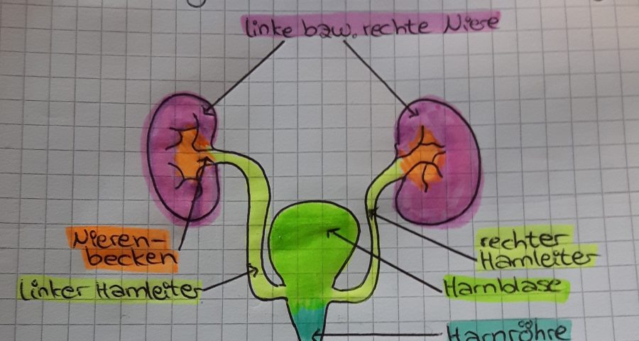 Akut Auf Chronische Niereninsuffizienz Captions Trend Update