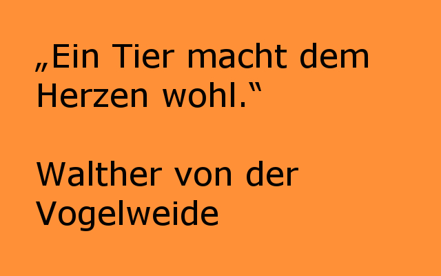 40+ Sprueche von dichtern und denkern ideas