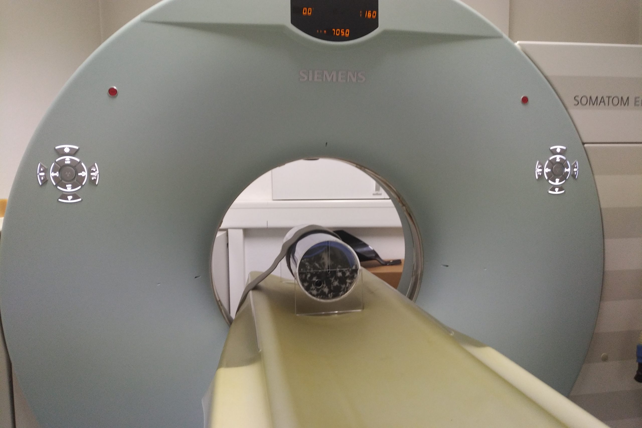 Das Bild zeigt ein Kaninchen im Wach-CT